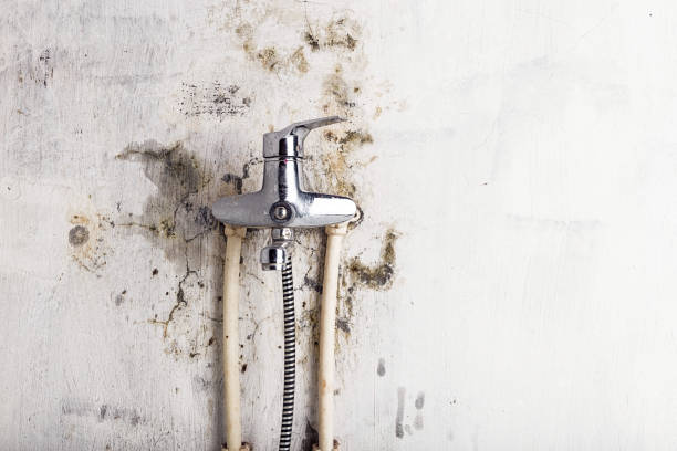 Best HVAC Mold Remediation in Dilley, TX