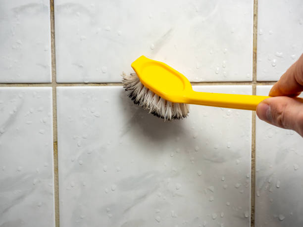 Best DIY Mold Remediation Support Services in Dilley, TX