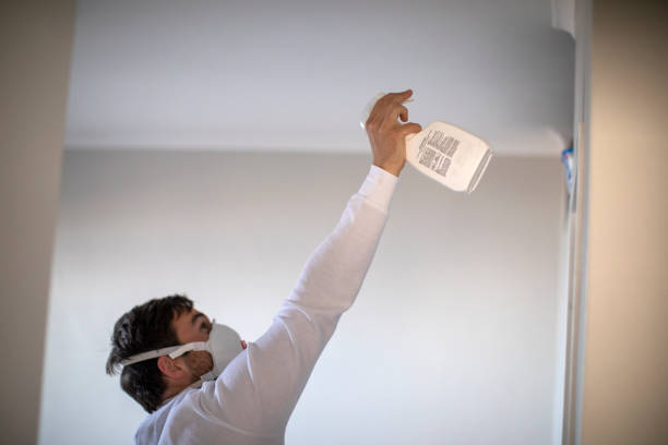 Best Attic Mold Remediation in Dilley, TX