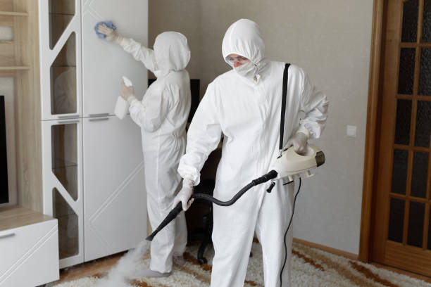Best Post-Flood Mold Remediation in Dilley, TX