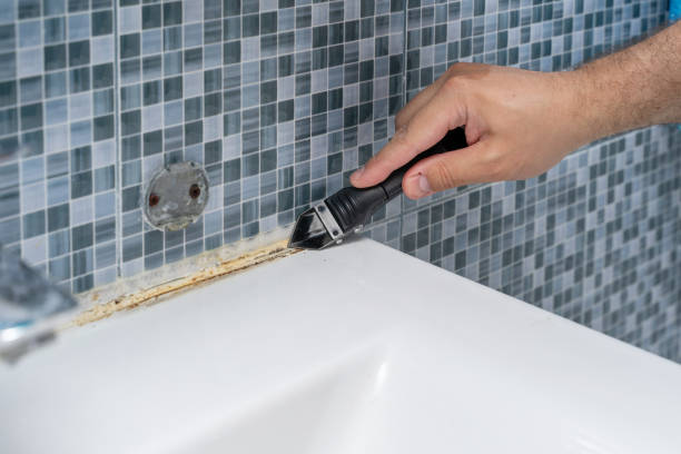 Professional Mold Remediation in Dilley, TX